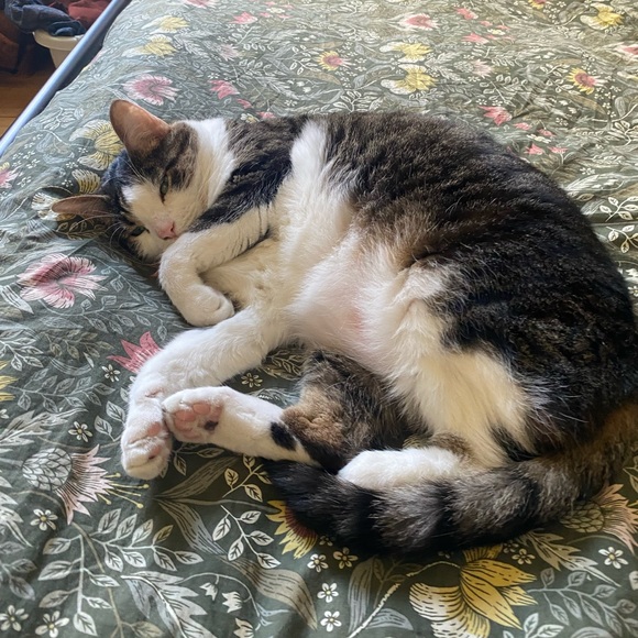 Meet your Posher, Chels - Picture 8 of 10